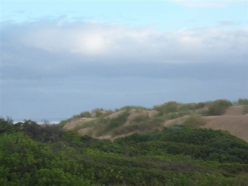 Comes With a Sea View - Photo 1
