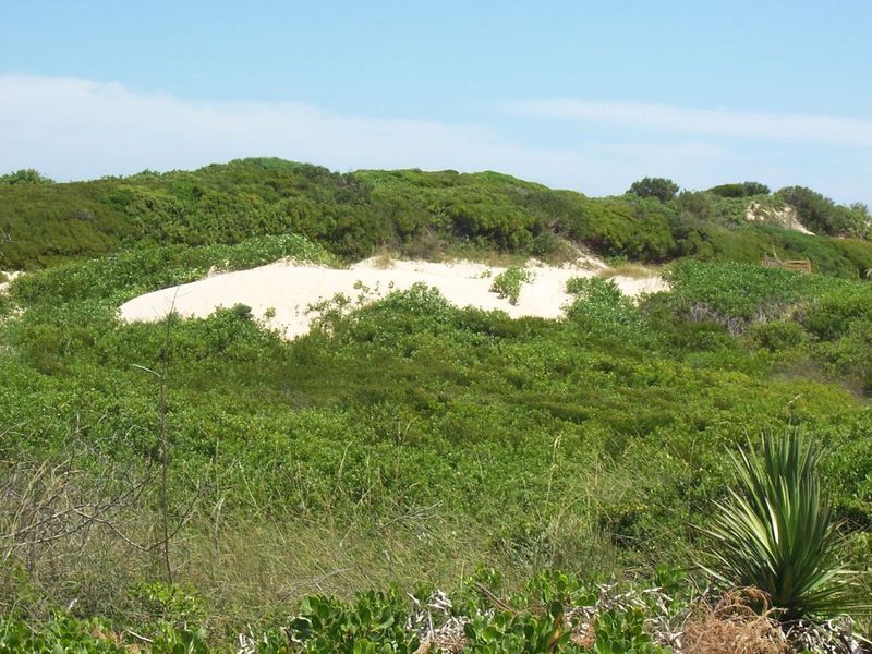 Competitively Priced - Photo 3