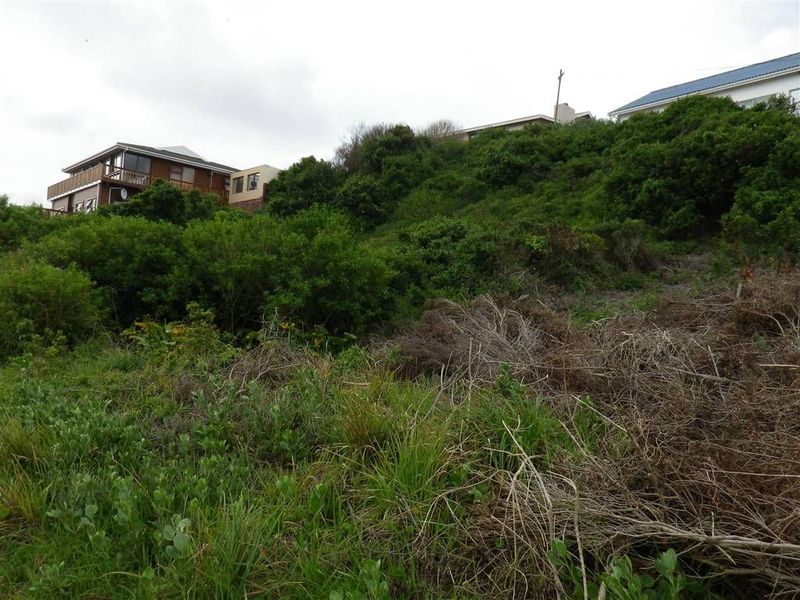 Seaside Investment - Photo 5