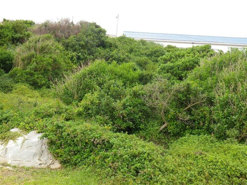 Seaside Investment - Photo 3