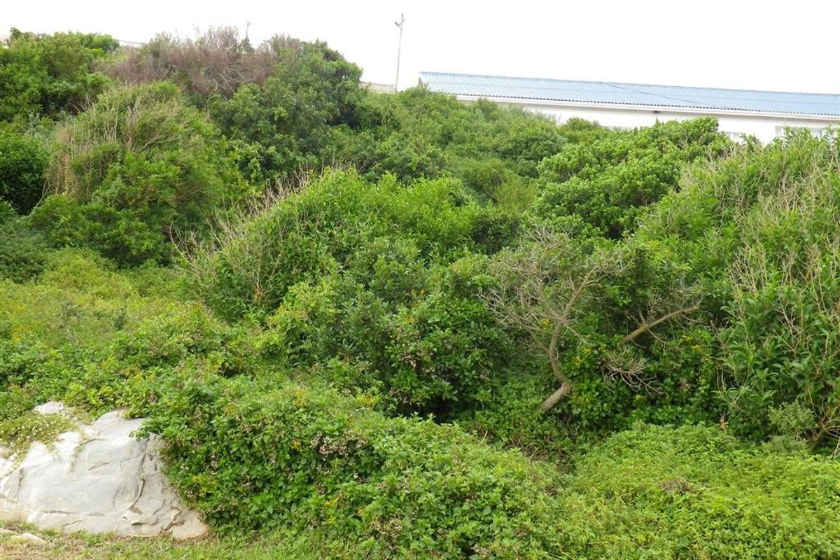 Seaside Investment - Photo 4