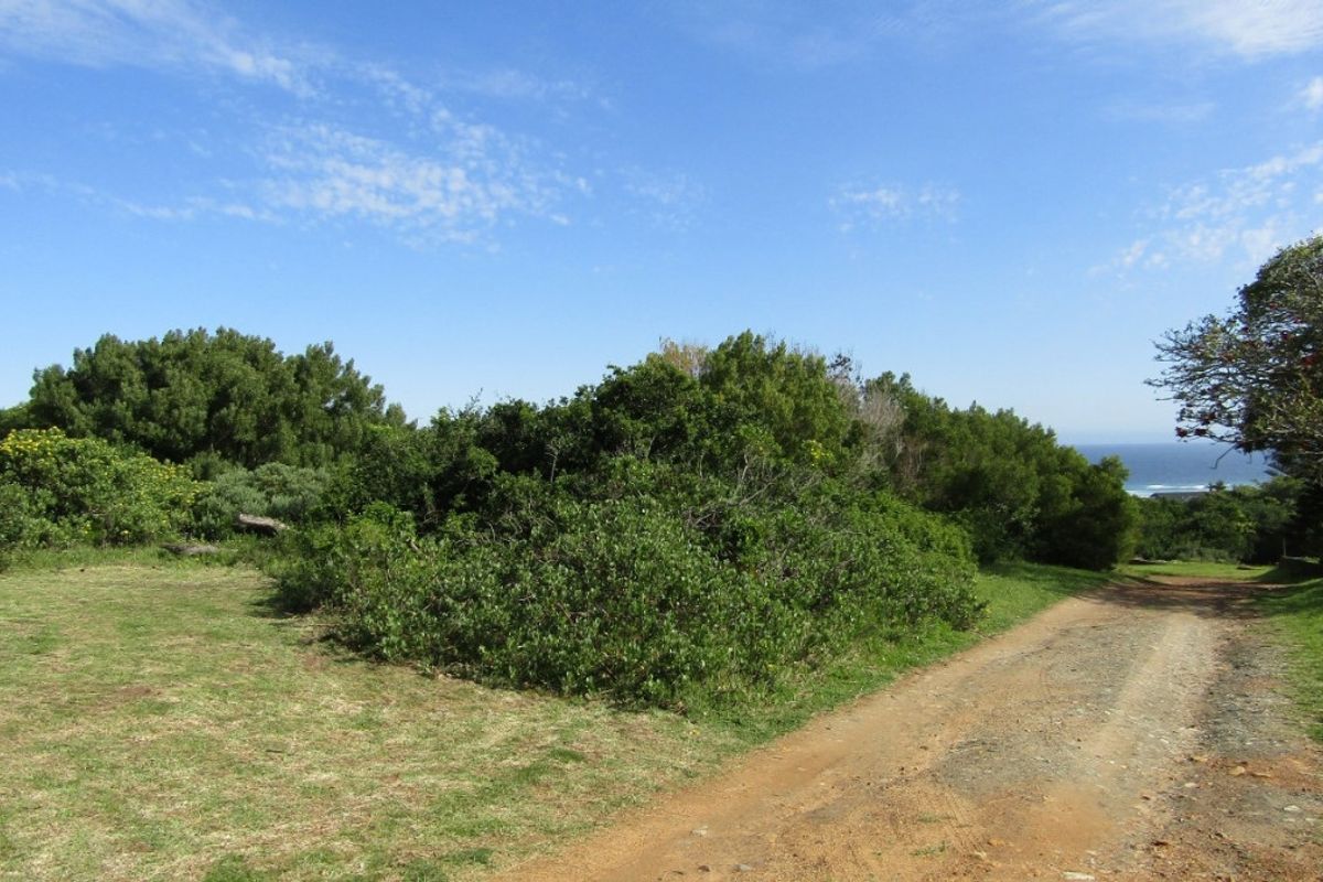 Come And Sea For Yourself - Photo 5