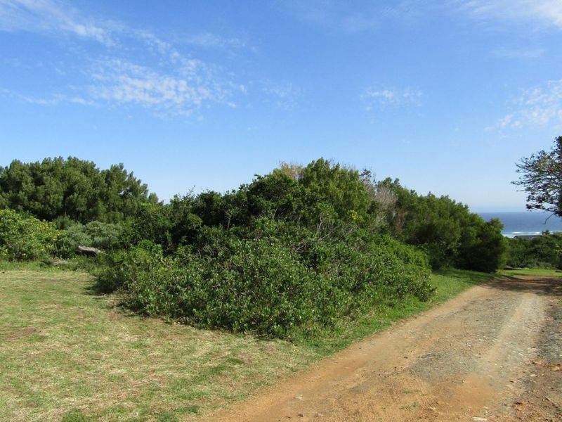 Come And Sea For Yourself - Photo 5