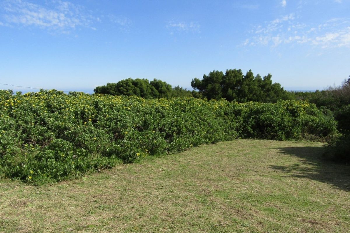 Come And Sea For Yourself - Photo 3