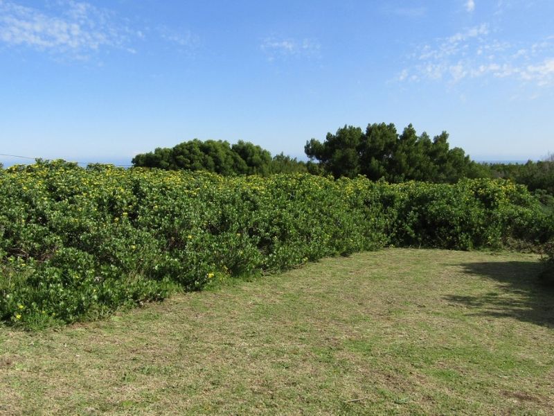 Come And Sea For Yourself - Photo 3