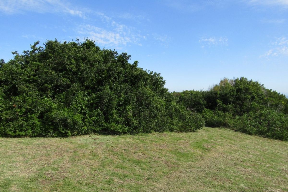 Come And Sea For Yourself - Photo 4