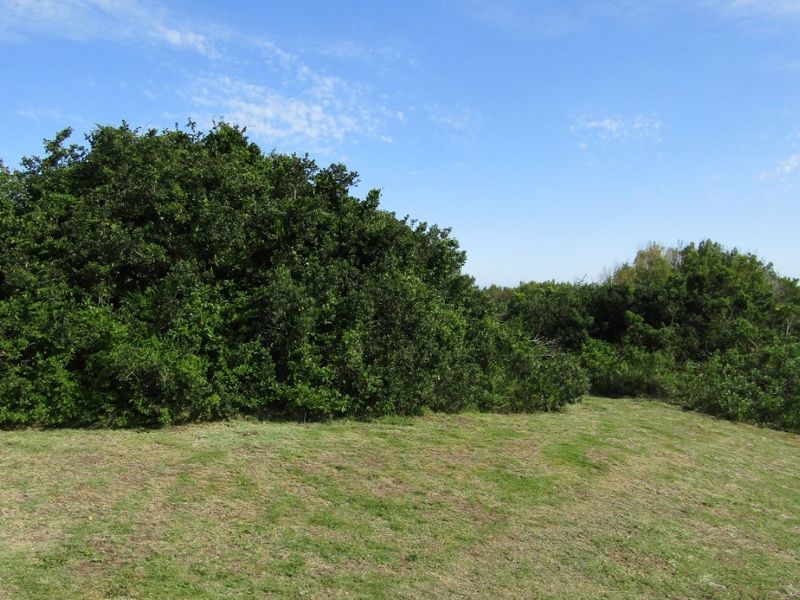 Come And Sea For Yourself - Photo 4