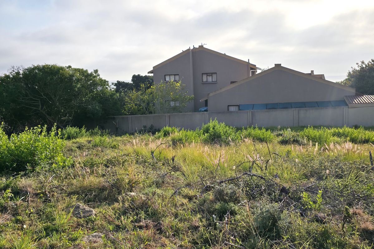 A view of a vacant residential plot featuring natural vegetation, bordered by a perimeter wall with neighboring residential structures in the background.