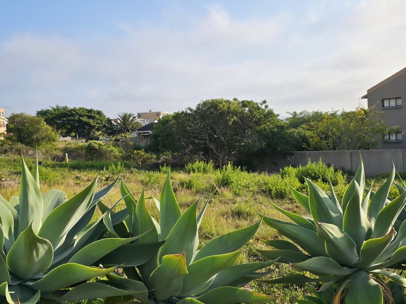 Great Position - Photo 5