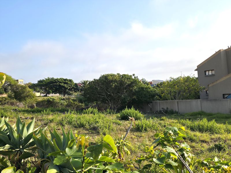 Great Position - Photo 3