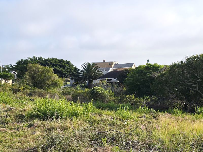 Great Position - Photo 10