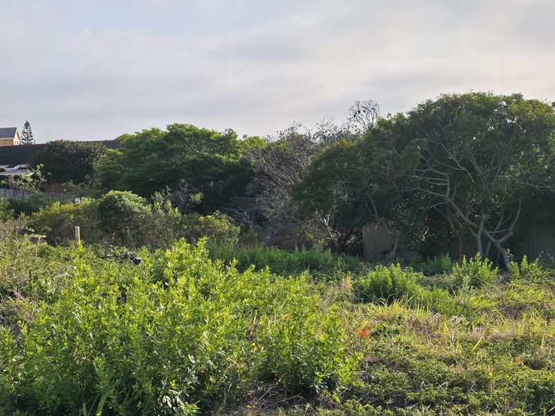 Great Position - Photo 9