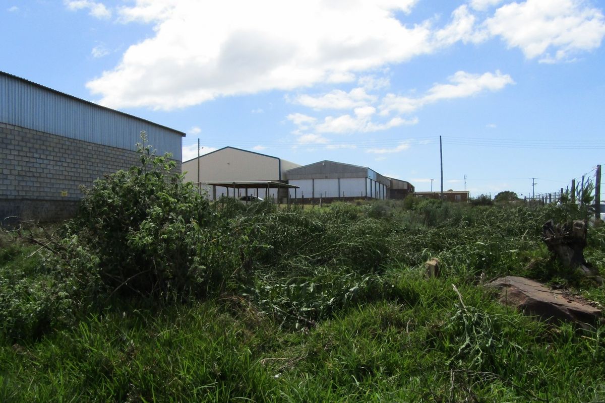 Industrial Land For Sale - Photo 4