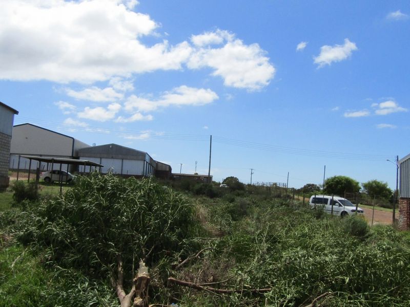 Industrial Land For Sale - Photo 7