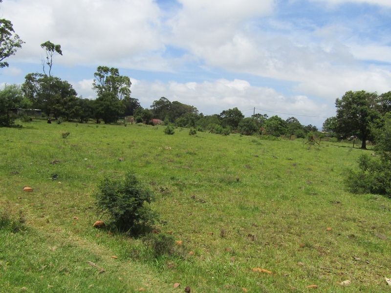 Green Peace - Photo 8