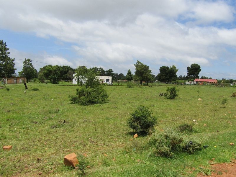 Green Peace - Photo 7