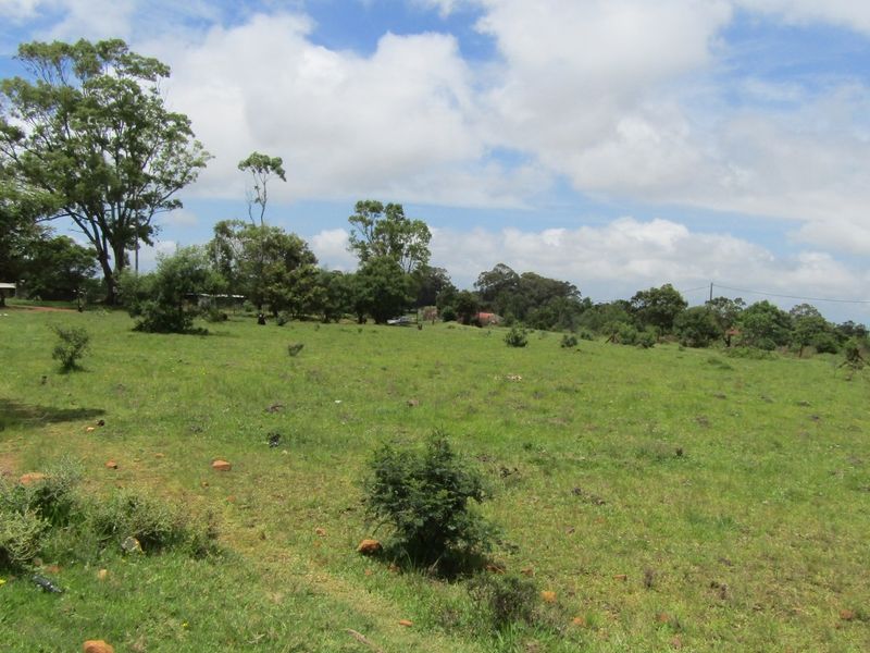 Green Peace - Photo 6