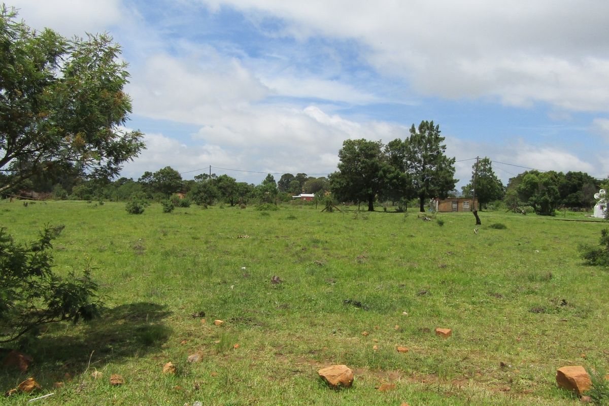 Green Peace - Photo 5