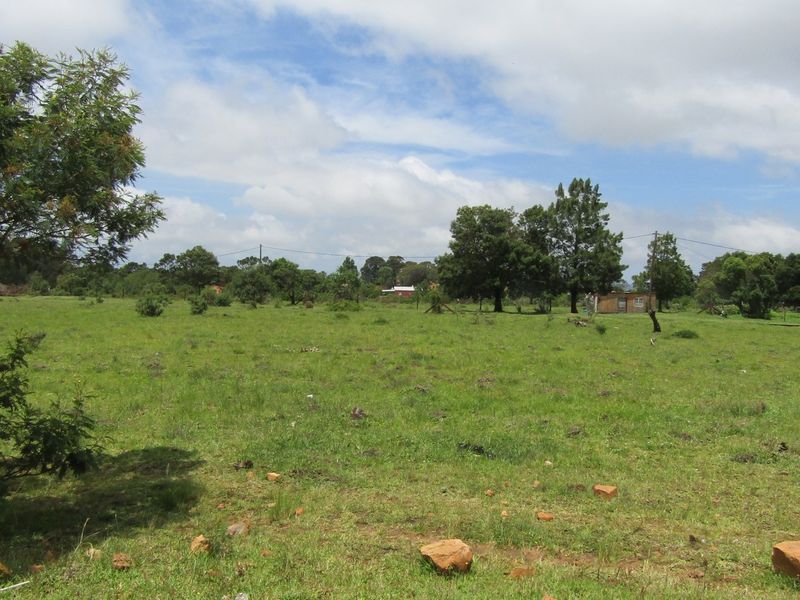 Green Peace - Photo 5