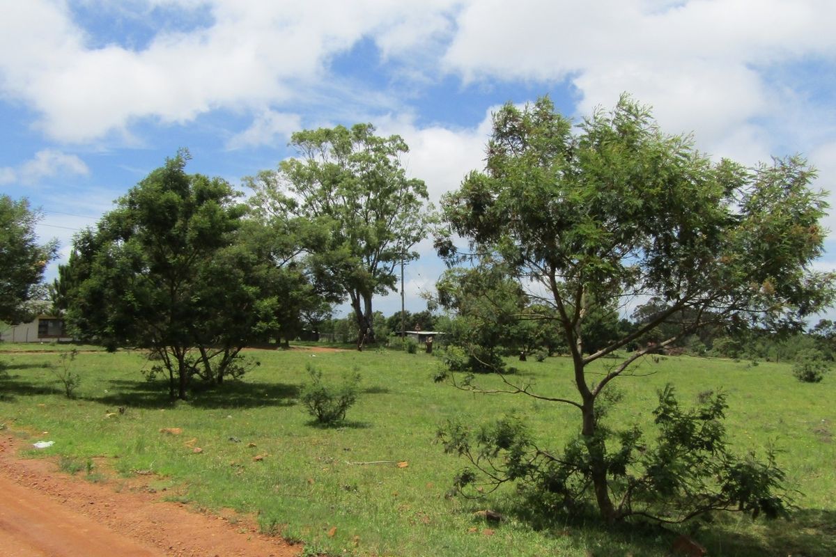 Green Peace - Photo 2