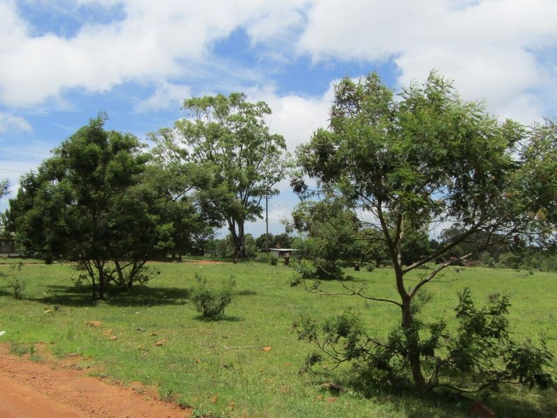 Green Peace - Photo 2