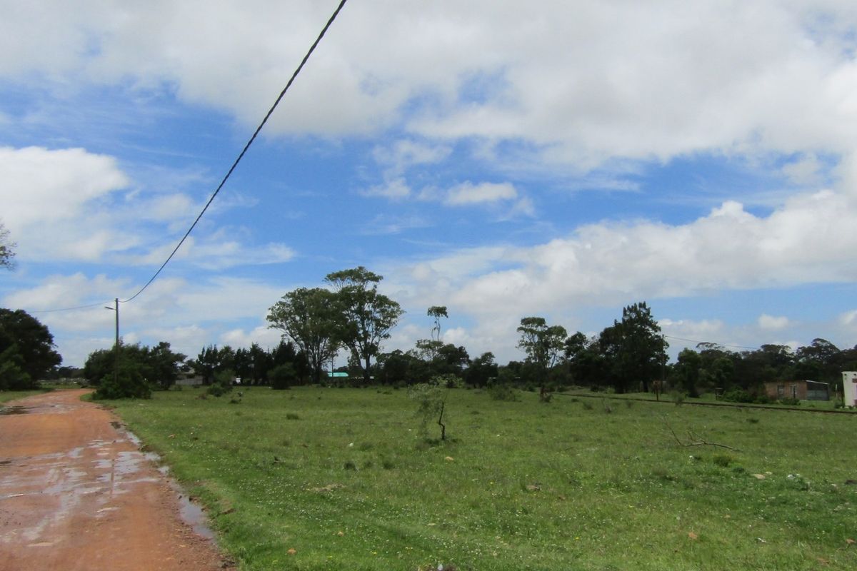 Green Peace - Photo 4