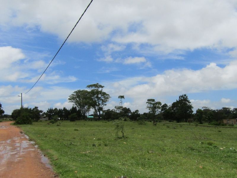 Green Peace - Photo 4