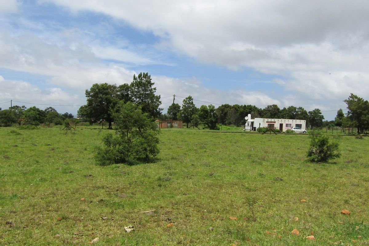 Green Peace - Photo 3