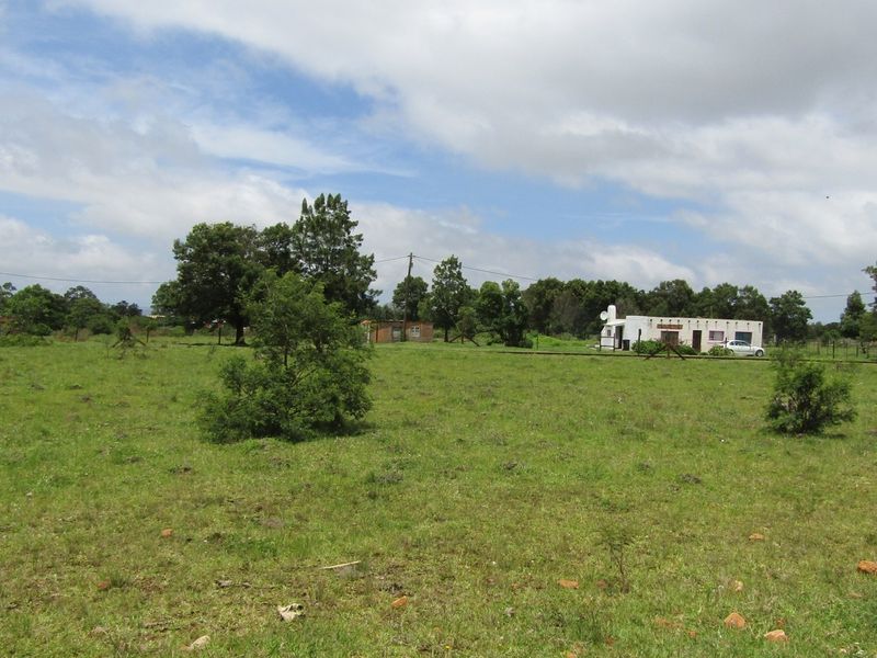 Green Peace - Photo 3