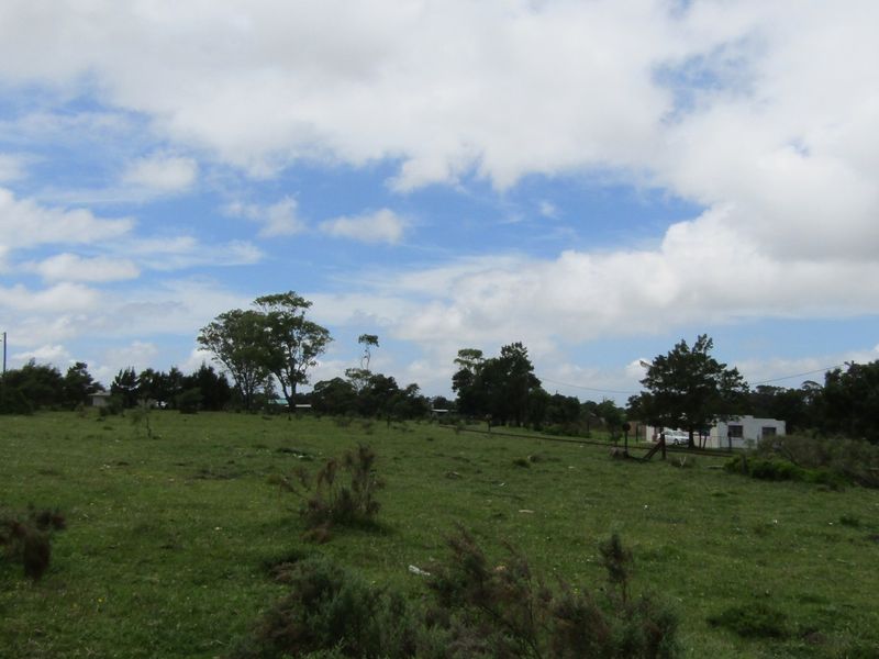 Green Peace - Photo 9