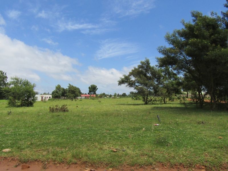 Green Peace - Photo 10