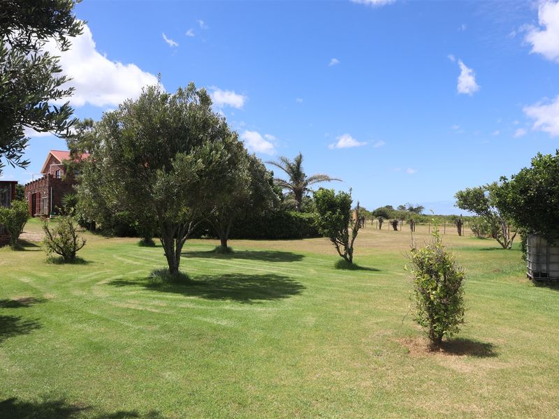 Country Living - Photo 9