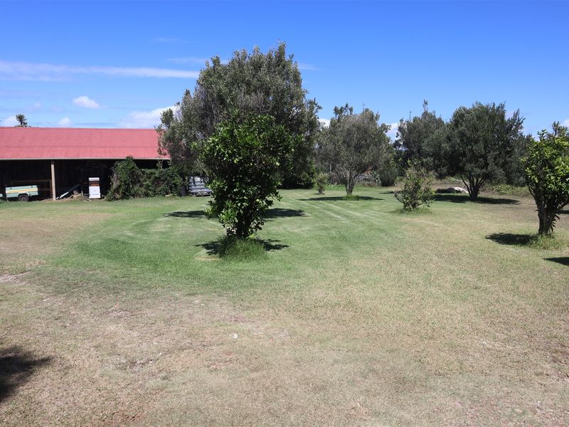 Country Living - Photo 7