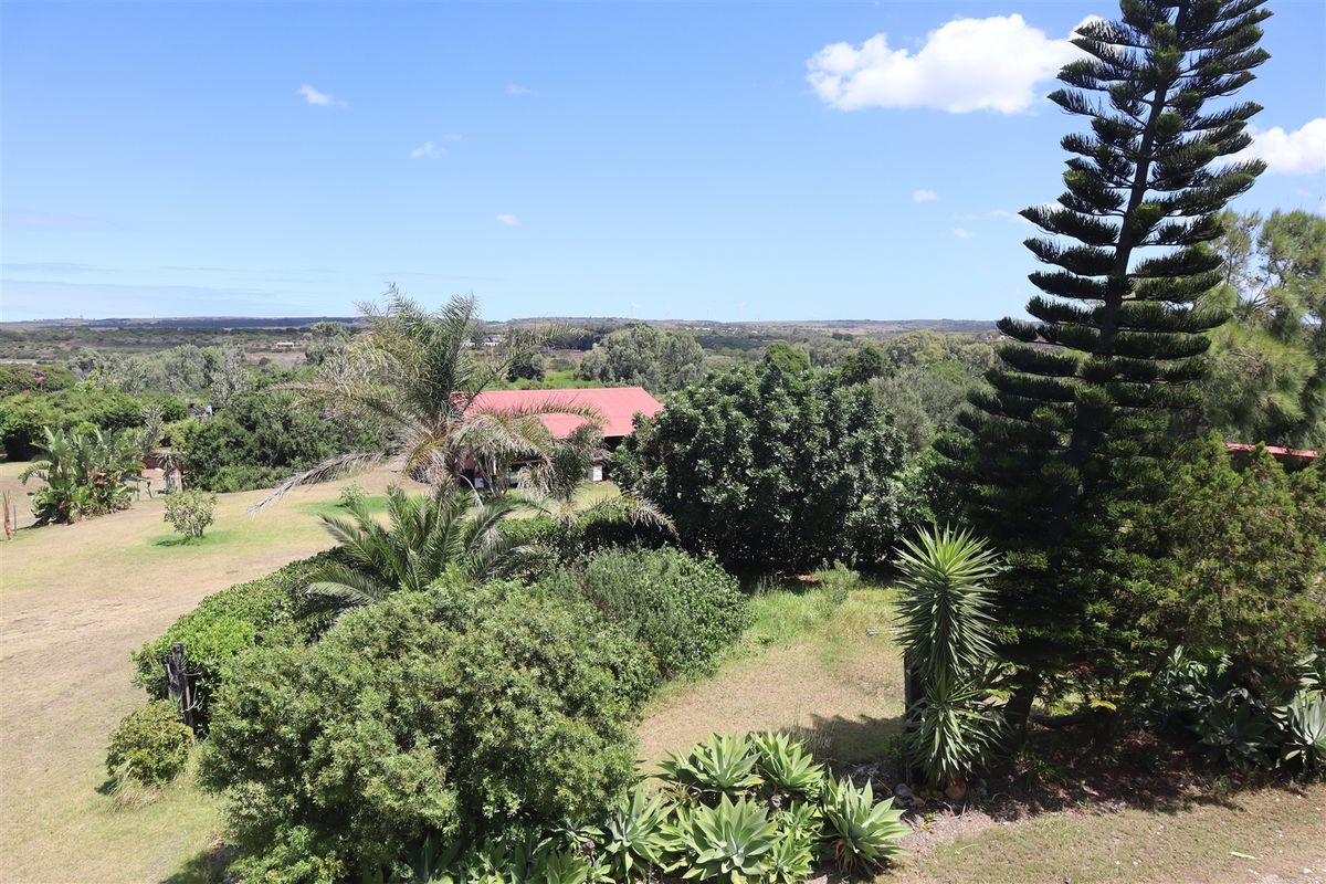 Country Living - Photo 4