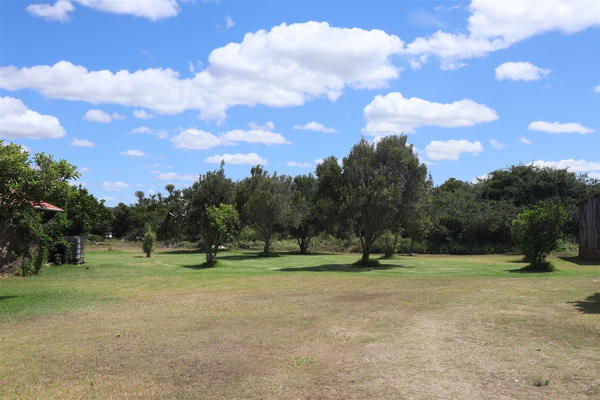 Country Living - Photo 3