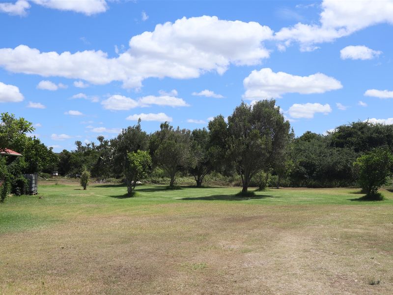 Country Living - Photo 3