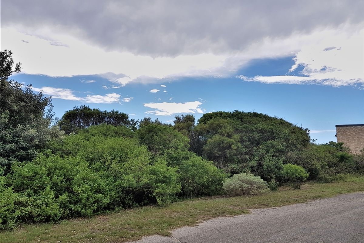 Perfectly Positioned! - Photo 4