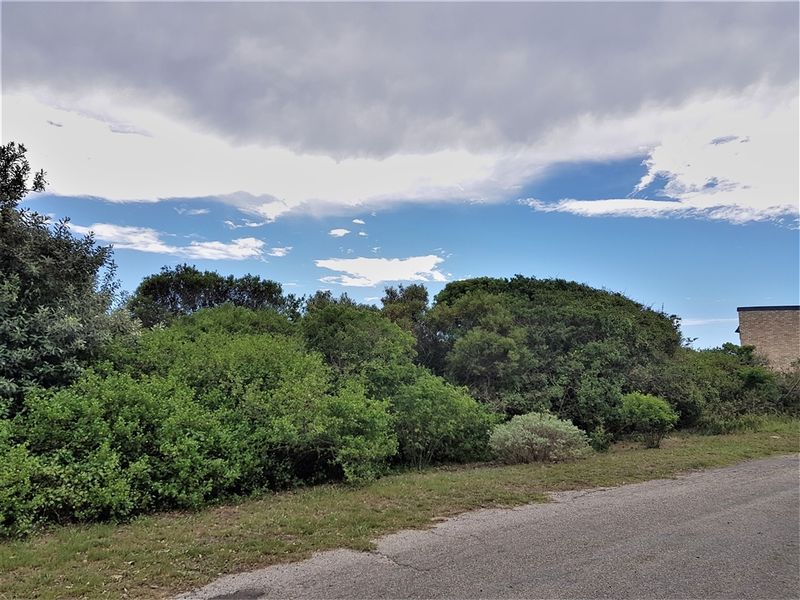 Perfectly Positioned! - Photo 4