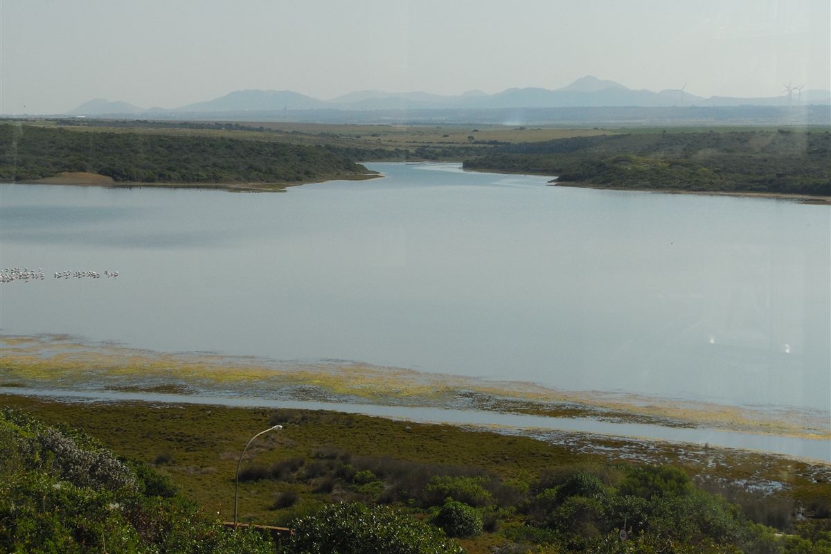 Perfectly Positioned! - Photo 5