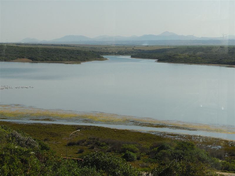 Perfectly Positioned! - Photo 5