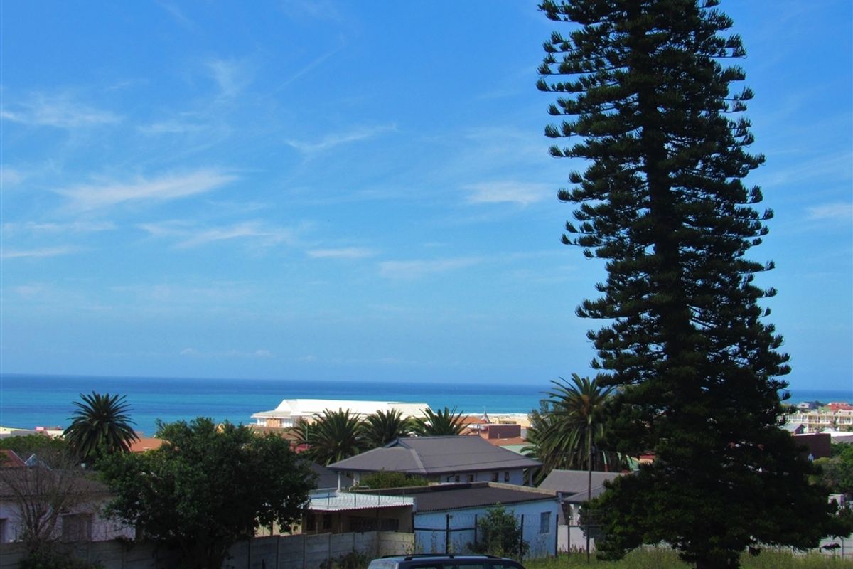 Spacious Plot Offering Huge Potential - Photo 3