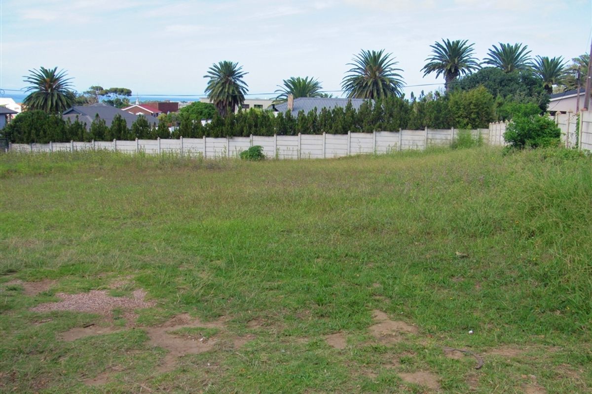 Spacious Plot Offering Huge Potential - Photo 5