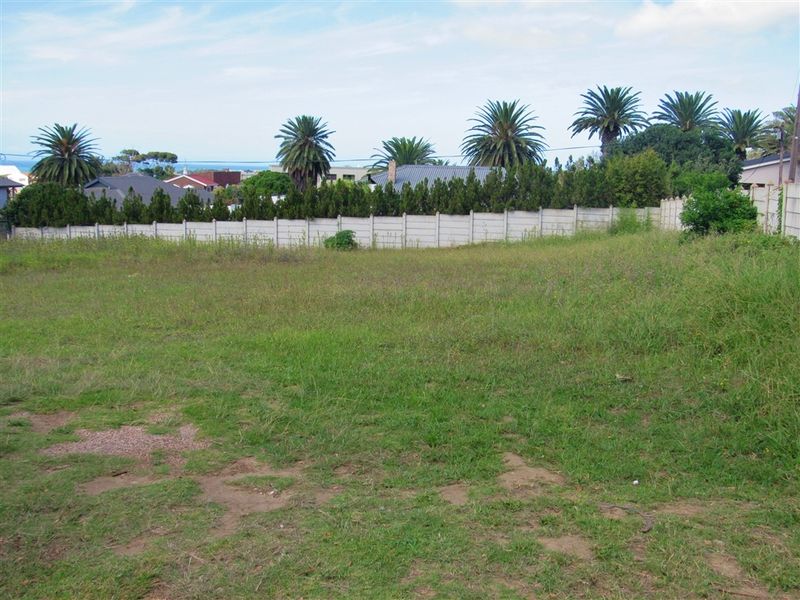 Spacious Plot Offering Huge Potential - Photo 5