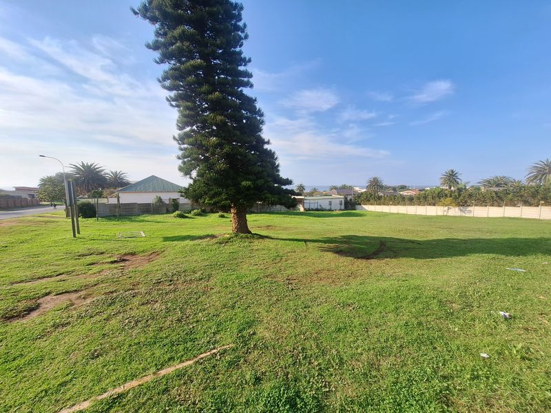 A spacious, level residential plot featuring a large mature tree and enclosed by perimeter walling, offering potential for future development.