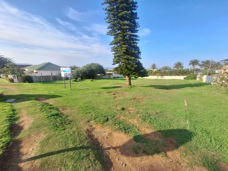 A vacant residential plot featuring a large mature tree, grassed terrain, and perimeter boundary walls.