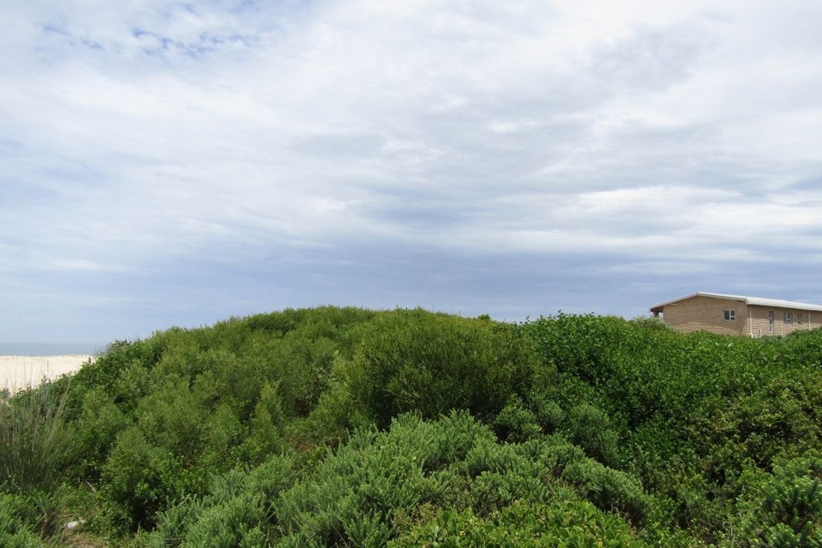 Beachfront Paradise! Exceptional Investment Opportunity - Photo 5