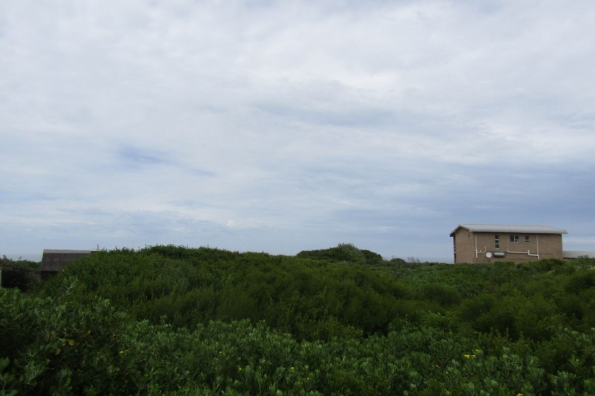 Beachfront Paradise! Exceptional Investment Opportunity - Photo 4