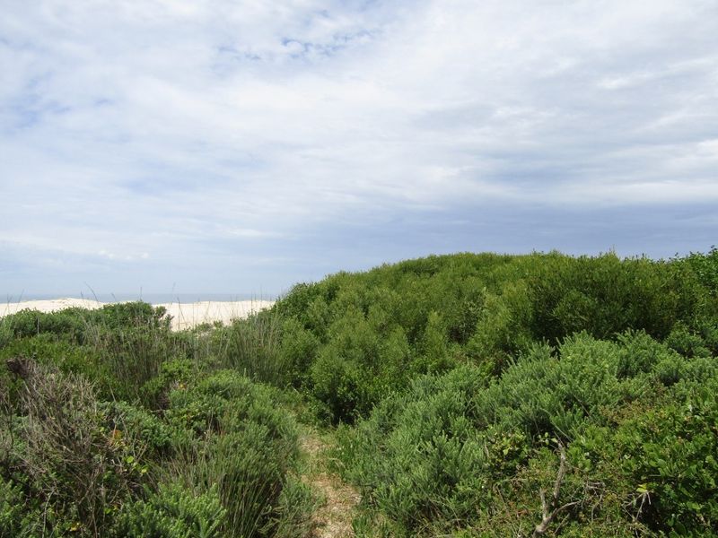 Beachfront Paradise! Exceptional Investment Opportunity - Photo 6