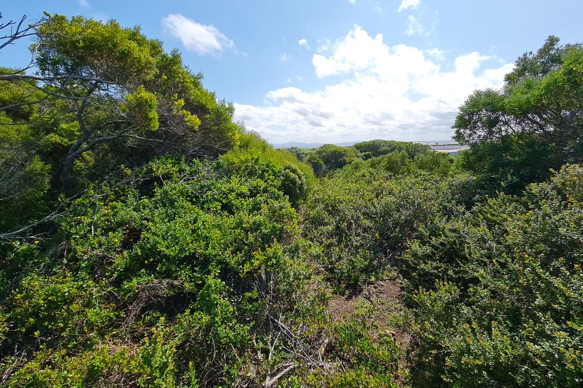Elevated Stand with Views in Paradise Beach, Jeffreys Bay - Photo 5