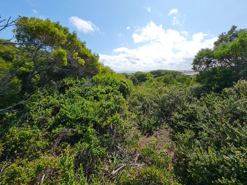 Elevated Stand with Views in Paradise Beach, Jeffreys Bay - Photo 5